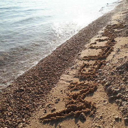 شقة Blue Sea View