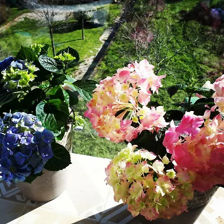 Blue Sea View * 斯普利特