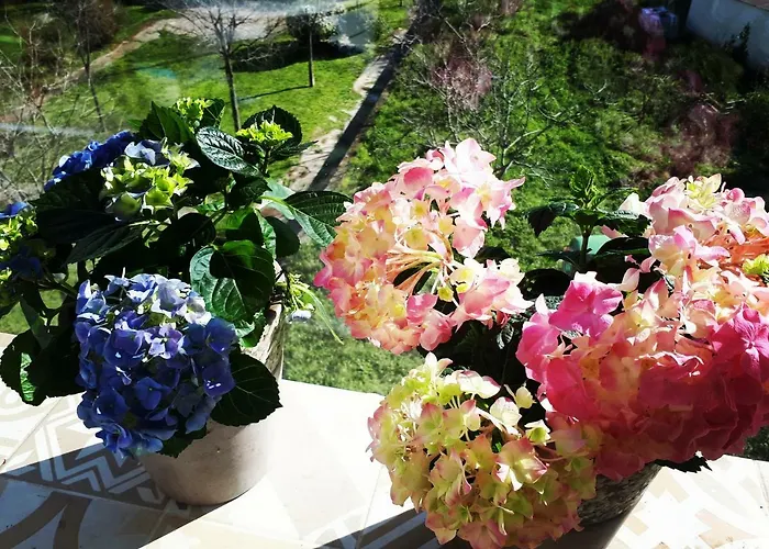 Blue Sea View * Split